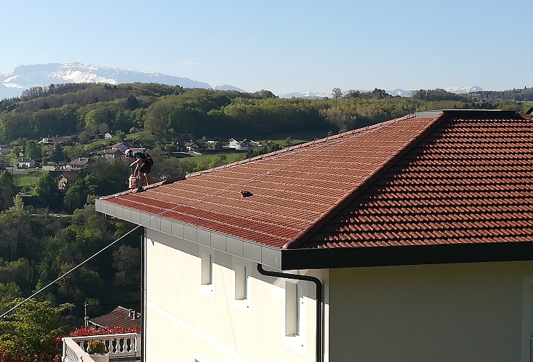 Démoussage et hydrofugation