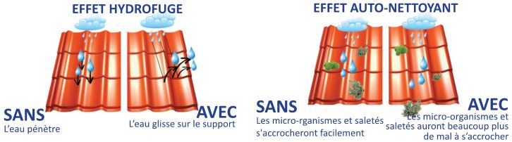 Démoussage et hydrofugation incolore