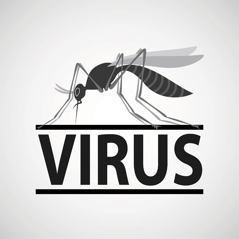 Virus et Piqûres d'insectes